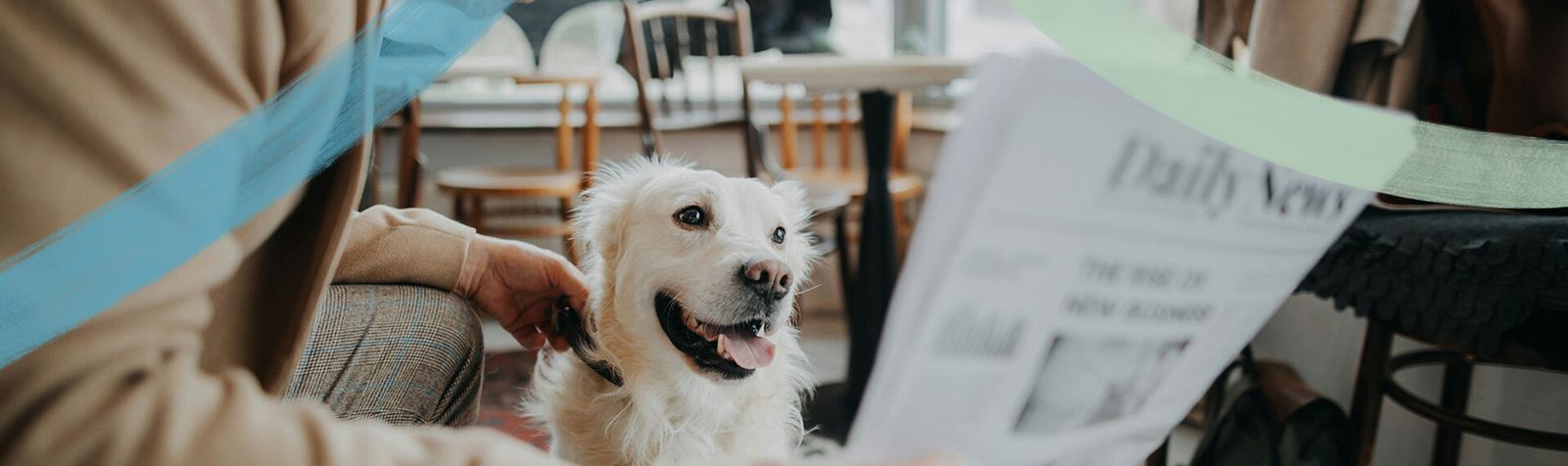Dog and newspaper | Midline community near Houston, TX