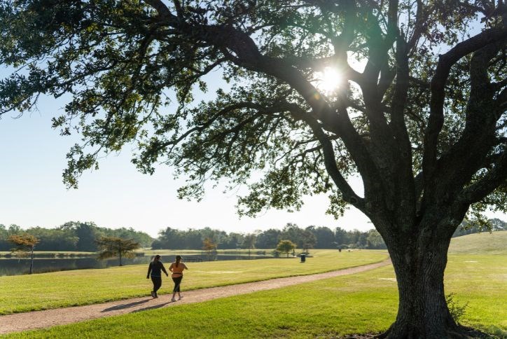 Challenger 7 Park Walkers