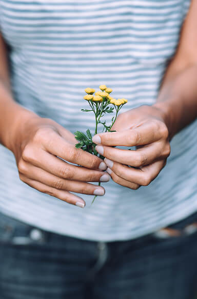 Flowers in hWoman holding flowers