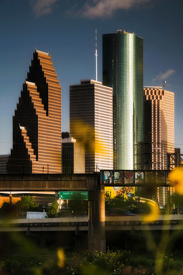 South Houston Area Collage